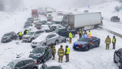 1769403864605819261276646638770