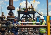 Image3607731018061058009