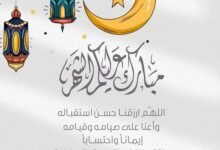 Img 20260217 wa00306549500411423176471