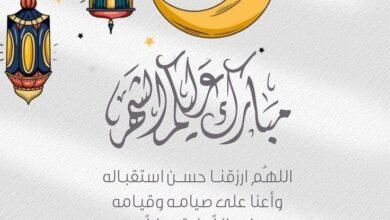 Img 20260217 wa00306549500411423176471