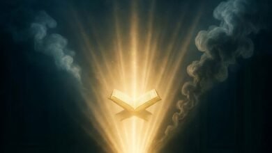 Image 2203896119775253795