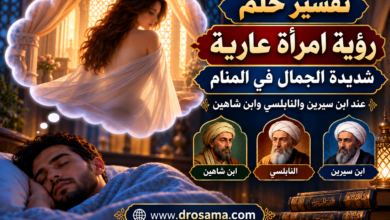 File 00000000306c82089ab2b2abb9c23905