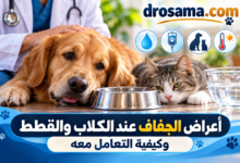 File 0000000071d482119c5b208c92d4bbc7